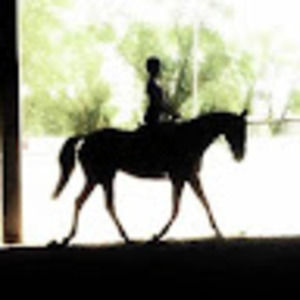 Meet your Posher, Mackenzie